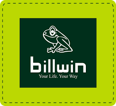 Billwin Industries  Right Issue Detail