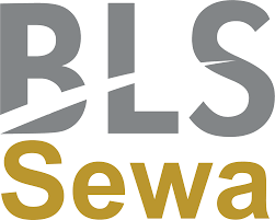BLS E-Services IPO Detail