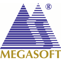 Megasoft Right Issue Detail