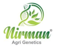 Nirman Agri Genetics SME IPO Live Subscription